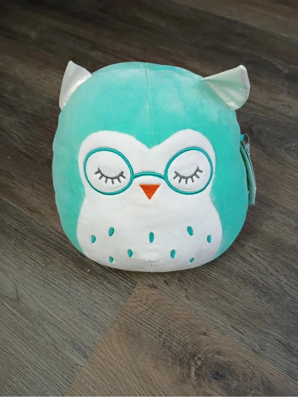 Squishmallows Mint Green and White Owl Plush